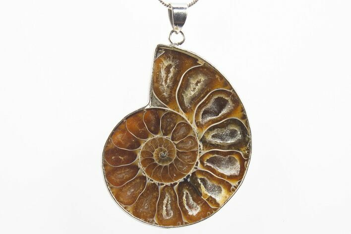 Fossil Ammonite Pendant - Million Years Old #306459